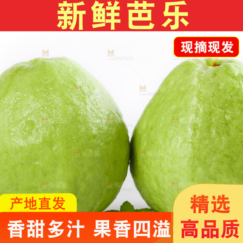 白底上放着白心芭乐