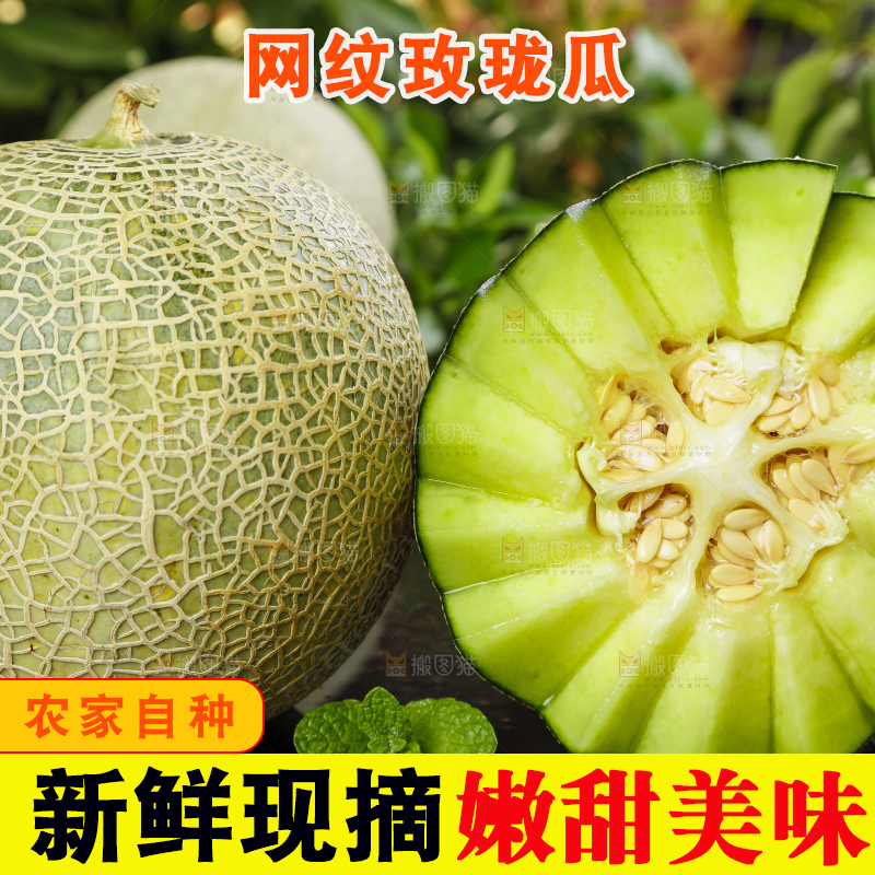 黑底上放着切开的山东网纹瓜