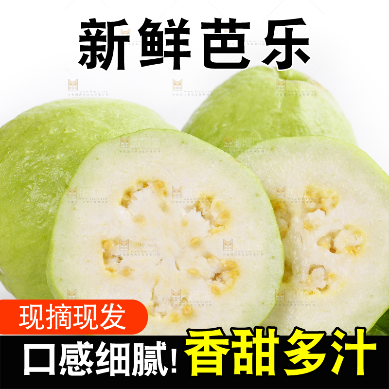 白底上的广西白心芭乐