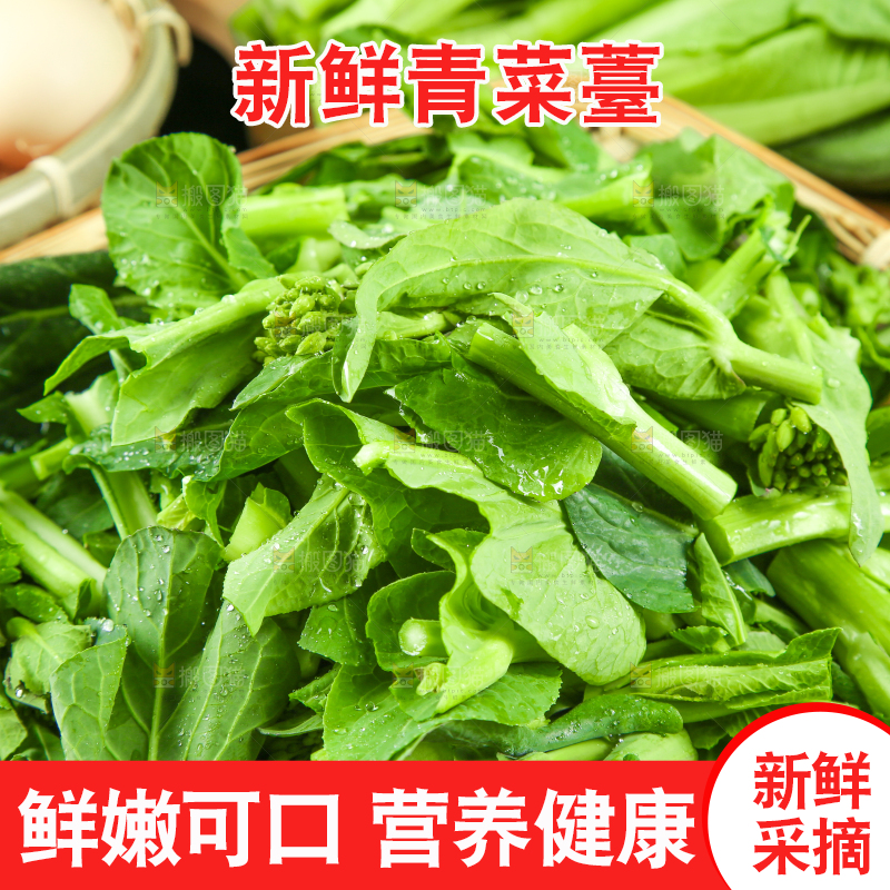 黑底上放着菜薹