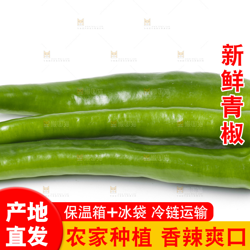 白底上放着新鲜青椒