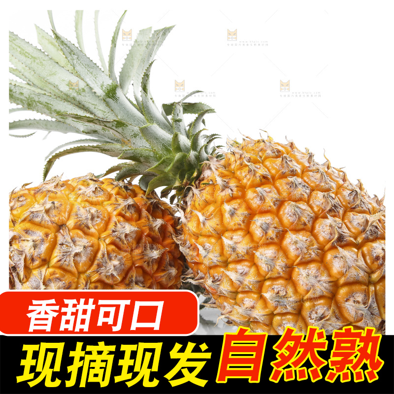 白底上的新鲜菠萝