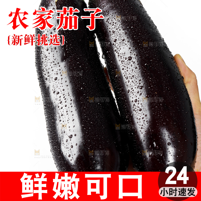白底上的紫茄子