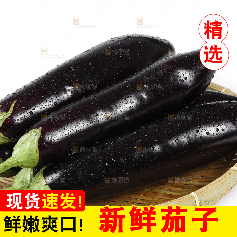 篮子里装着紫茄子