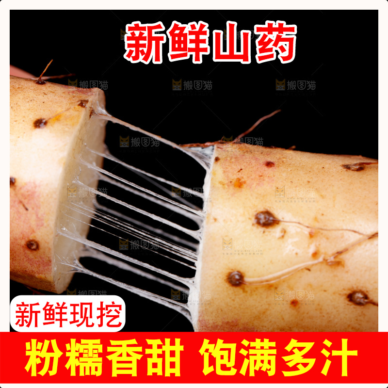手里拿着小白嘴山药