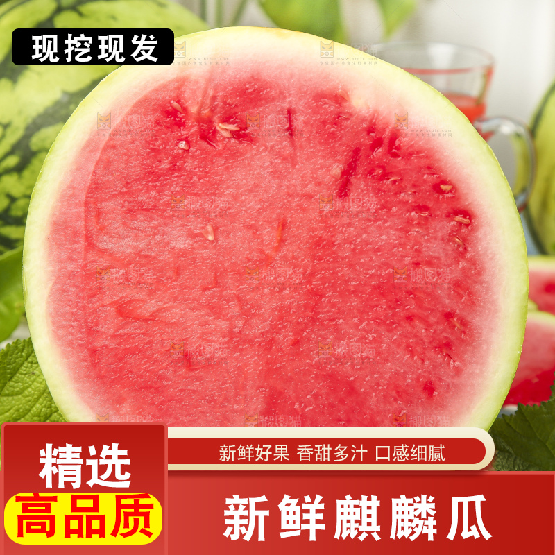 蓝底上放着新鲜麒麟西瓜