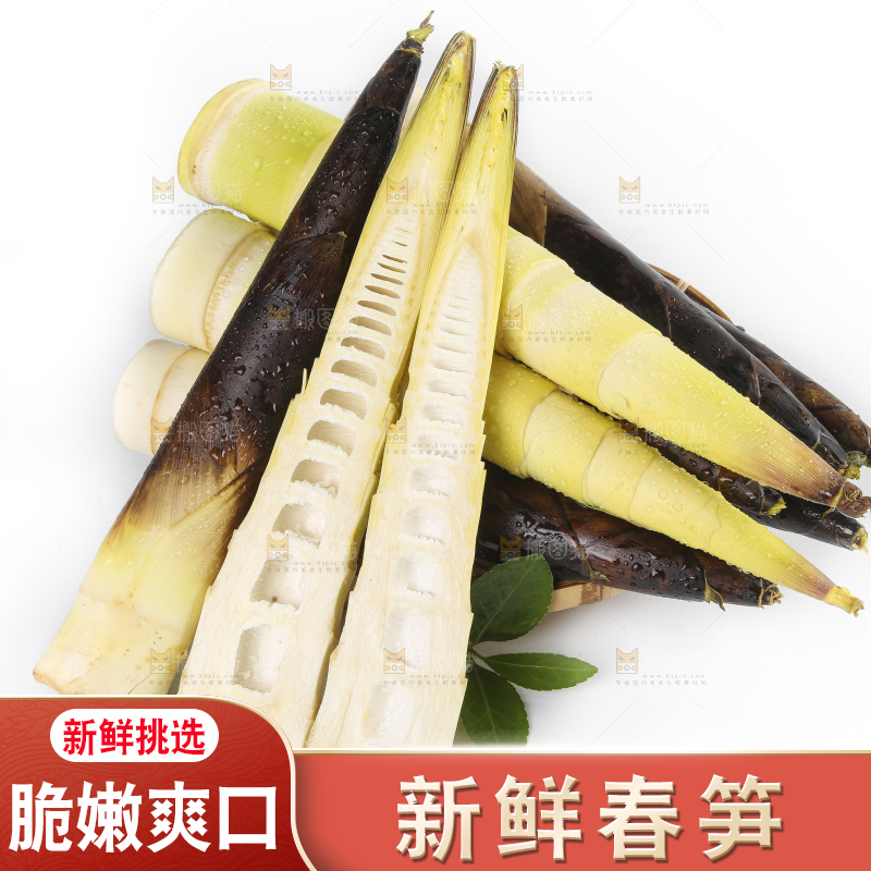切开的新鲜竹笋放在白底上