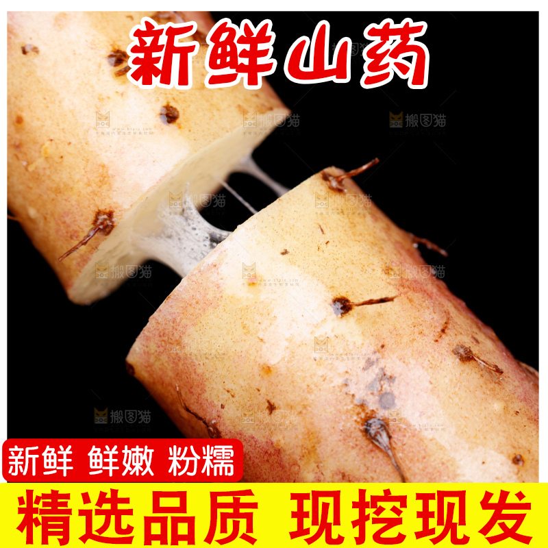 手里拿着小白嘴山药