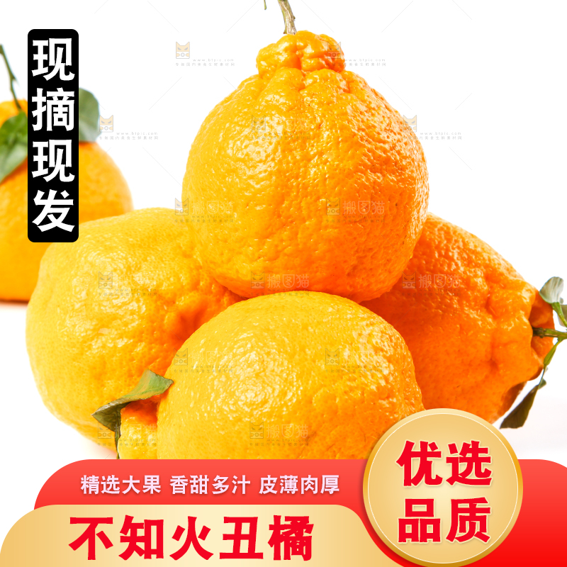 白底上放着新鲜的丑八怪