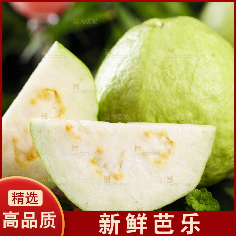 黑底上的广西白心芭乐