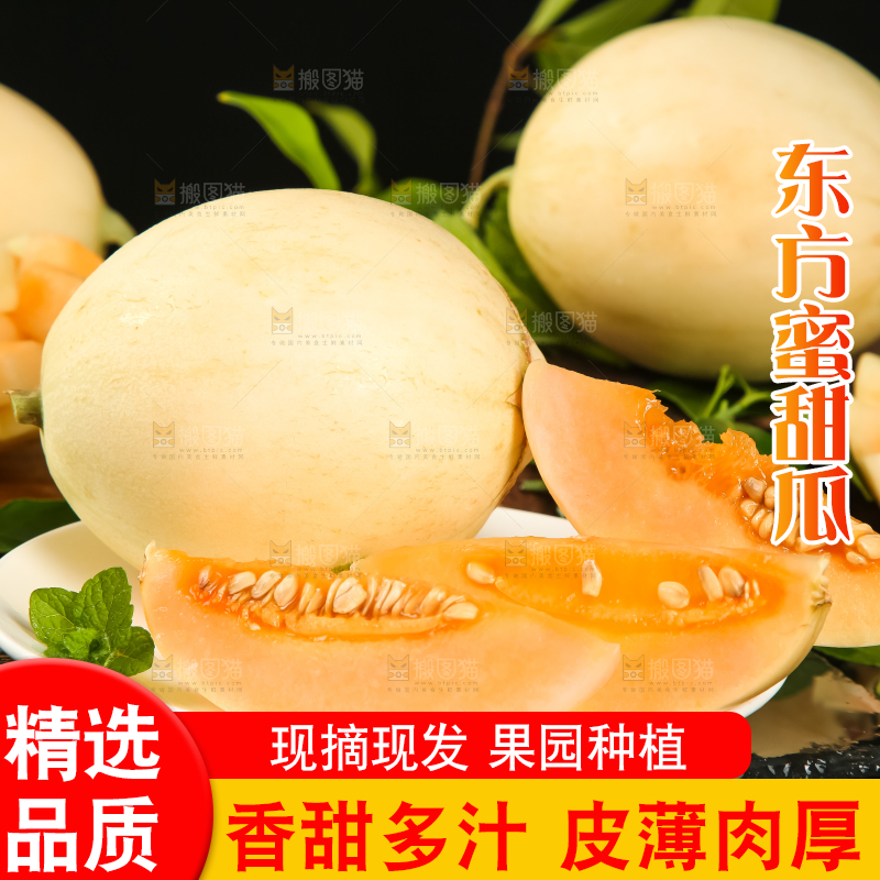 深底上放着一盘山东东方蜜瓜