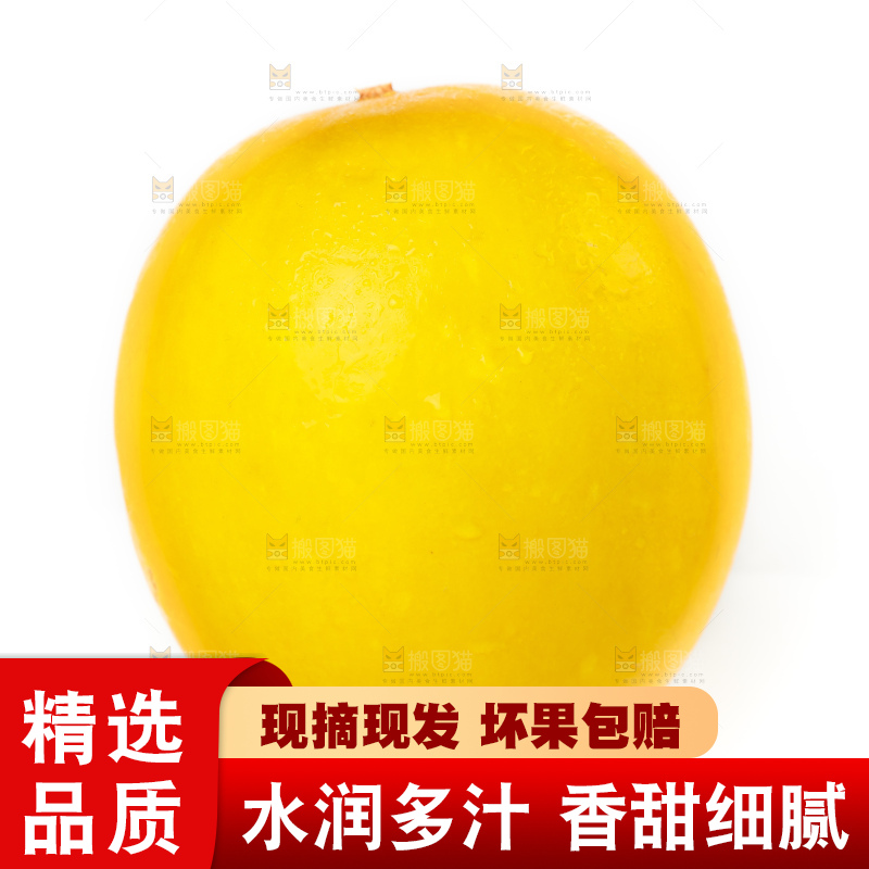 白底上放着新鲜黄金蜜瓜