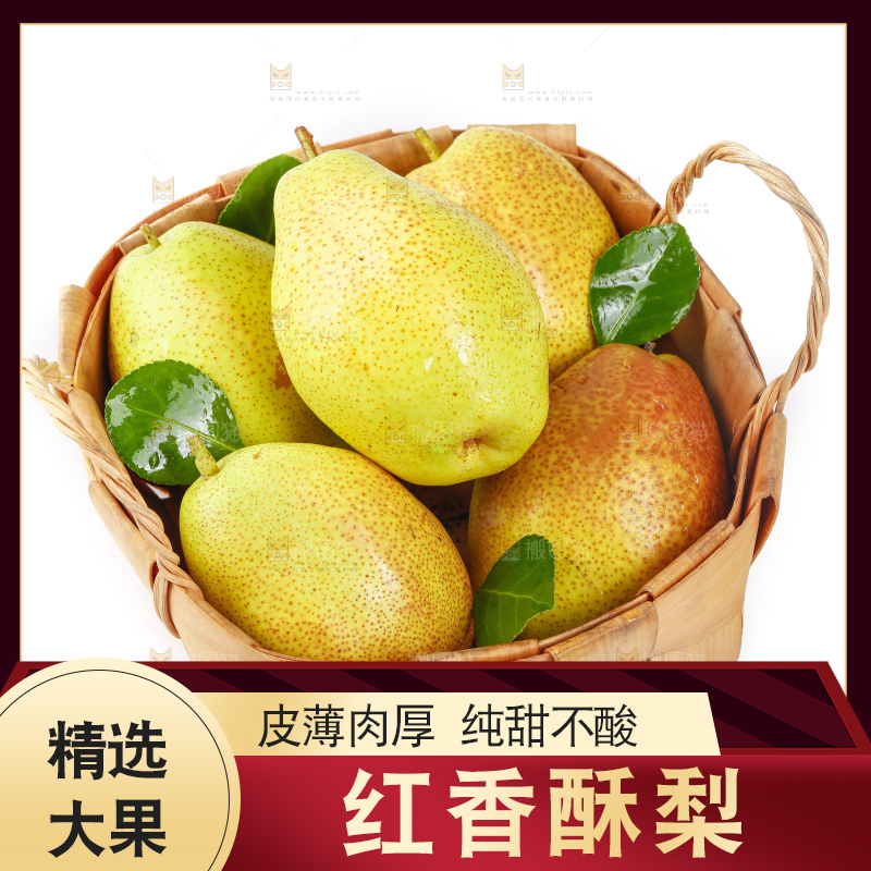 一筐陕西红香酥梨放在白底上