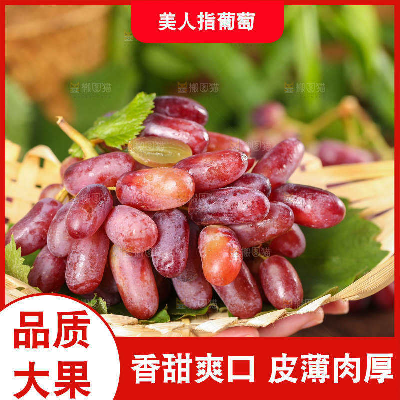 双手捧着竹篮里的美人指葡萄