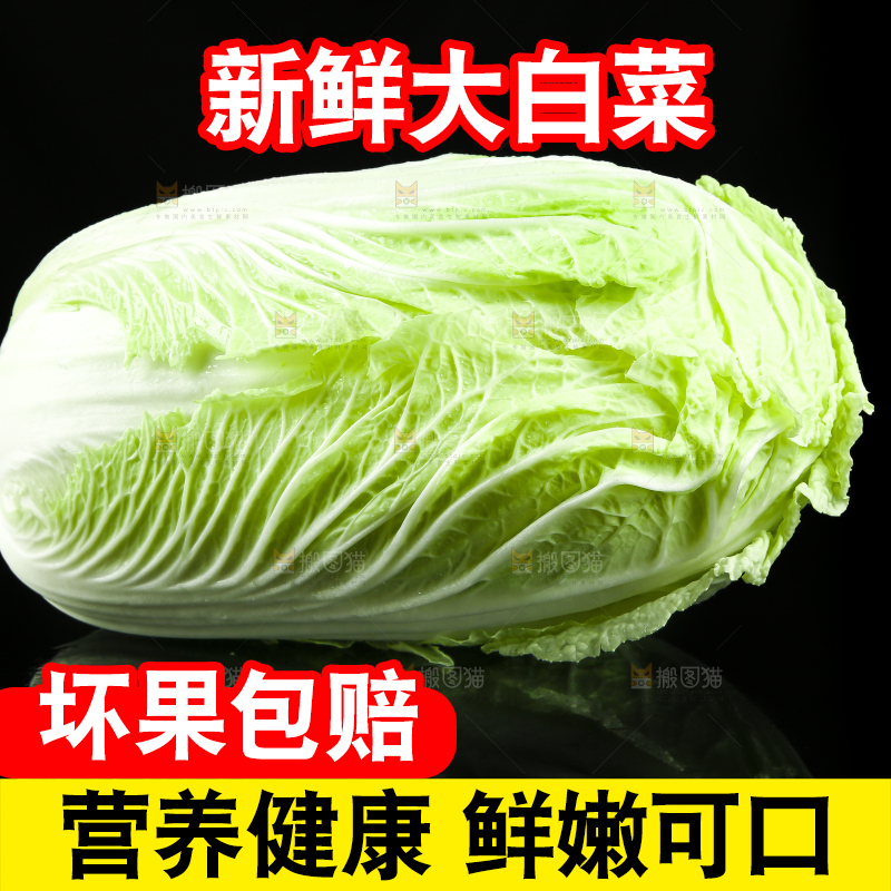 黑底上放着大白菜