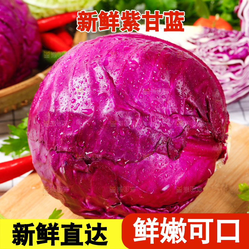 格子底上放着甘蓝