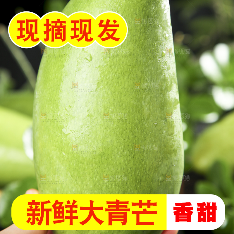 手拿着青皮芒果
