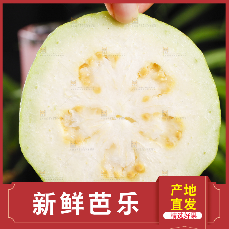 手里拿着广西白心芭乐