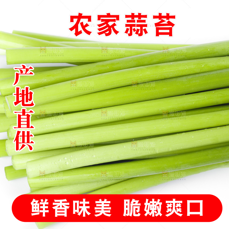 白底上摆放着蒜苔