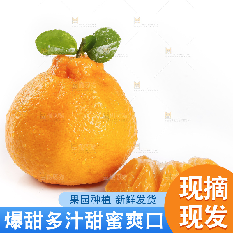 白底上的新鲜丑柑