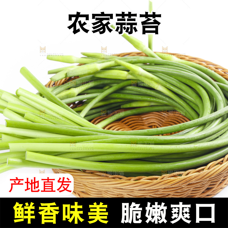 白底上摆放着嫩蒜苔
