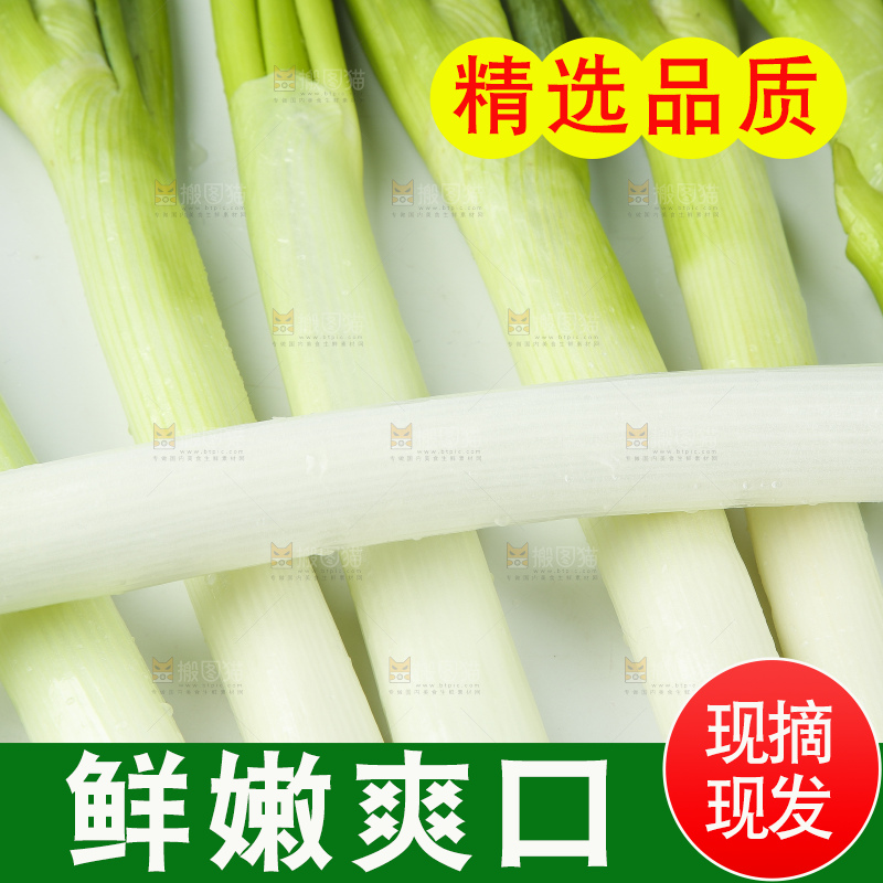 白底上放着大葱