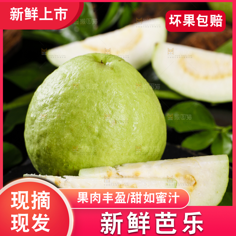 黑底上的广西白心芭乐
