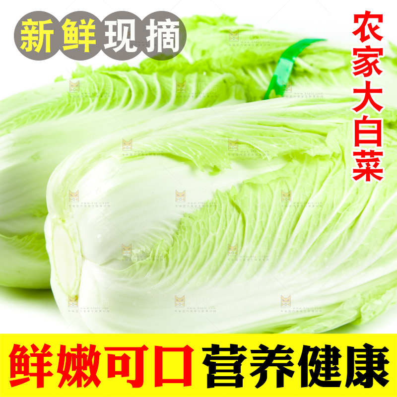 白底上的有机大白菜