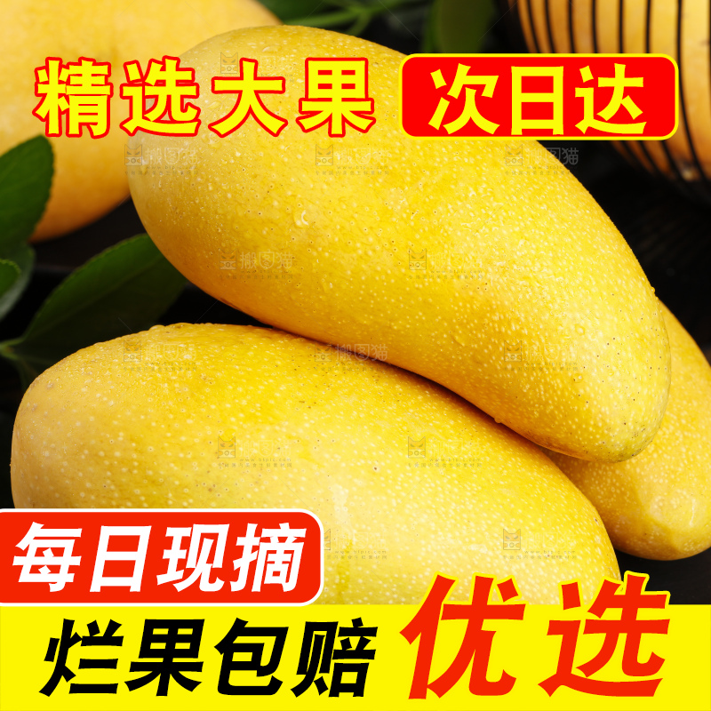 黑石板上放着新鲜的水仙芒