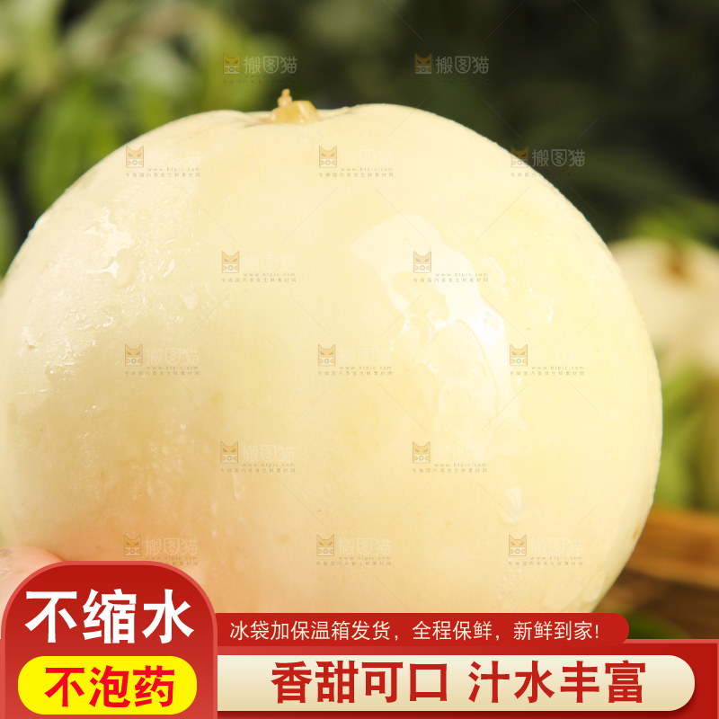 手里拿着陕西阎良甜瓜
