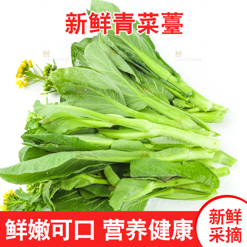 白底上的菜薹