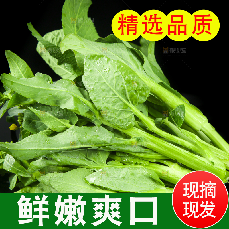 黑底上放着菜薹