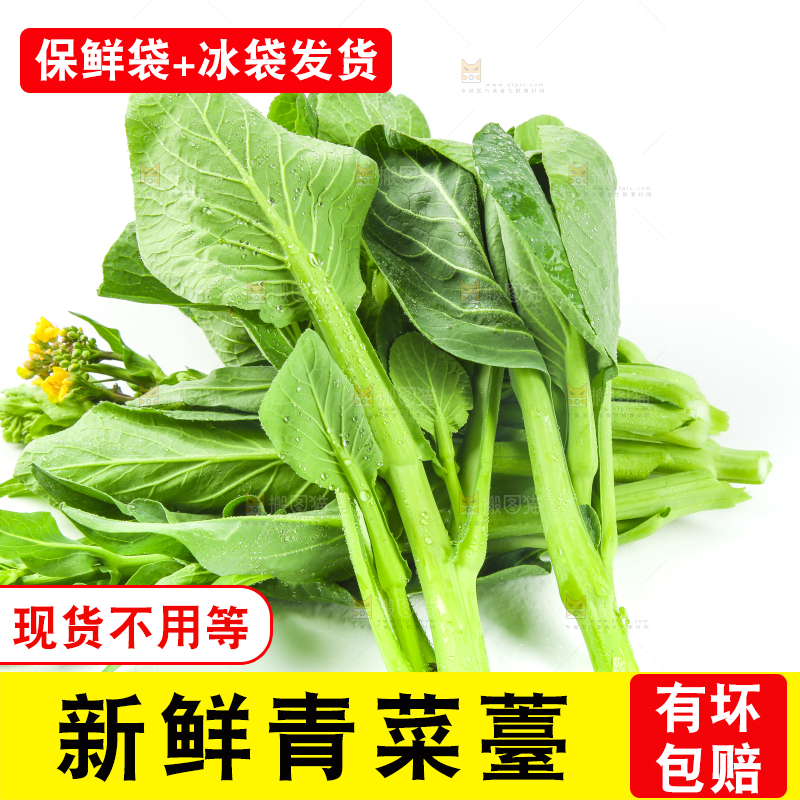 白底上的菜薹