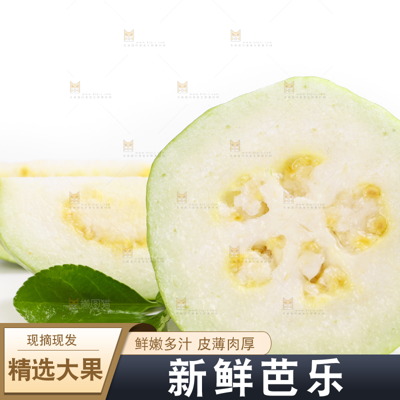 白底上放着白心番石榴