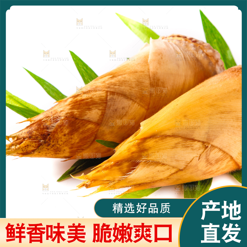 白底上摆放着冬笋