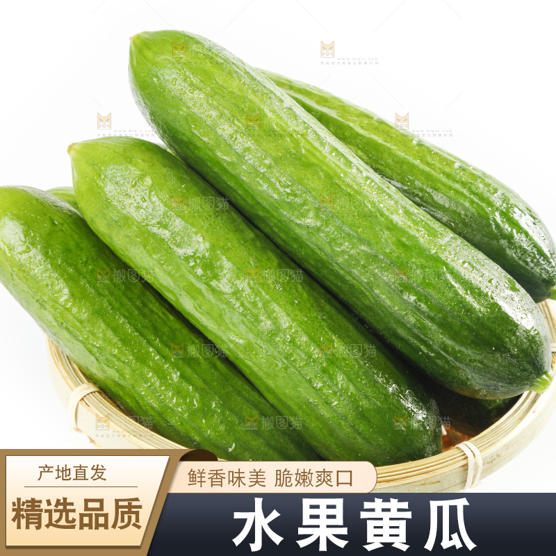 白底上放着一筐新鲜的东北小黄瓜