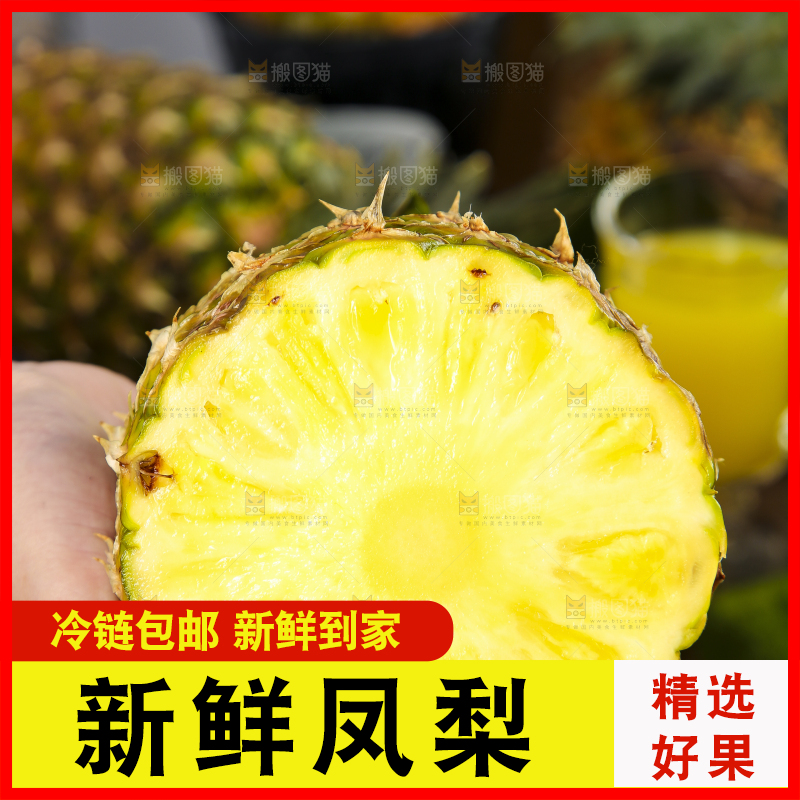手捧着海南金钻凤梨