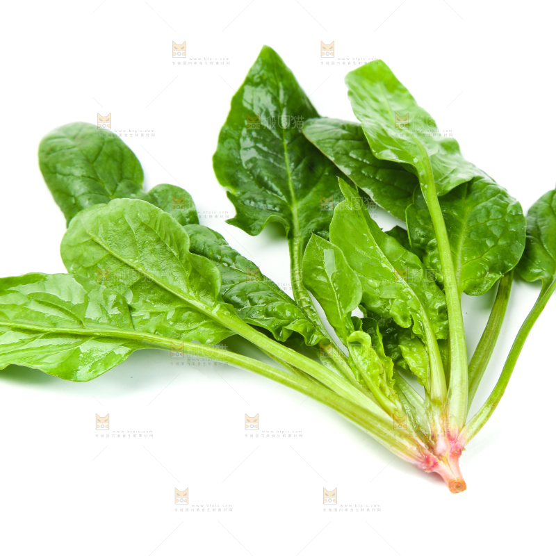 白底上放着新鲜菠菜