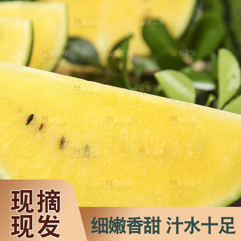 深底上放着切开的海南特小凤西瓜