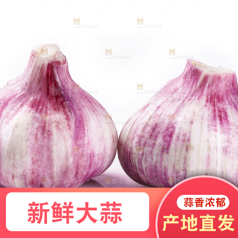 白底上放着新鲜紫皮大蒜头