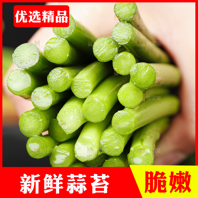 手里拿着一把嫩蒜苔