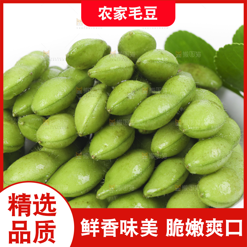 白底上放着四川新鲜毛豆