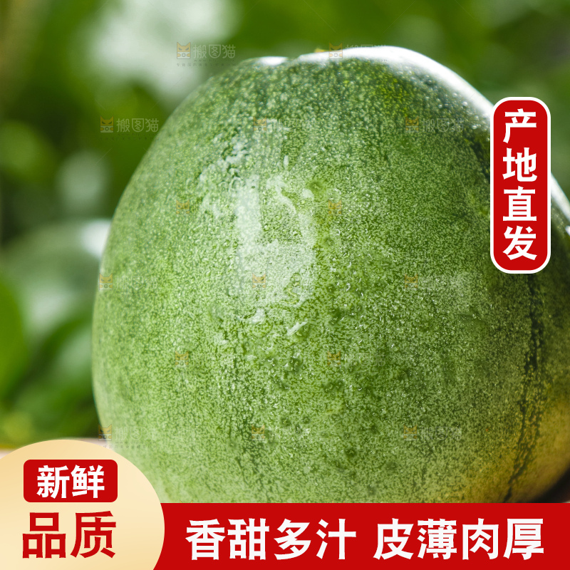手里拿着绿宝石甜瓜