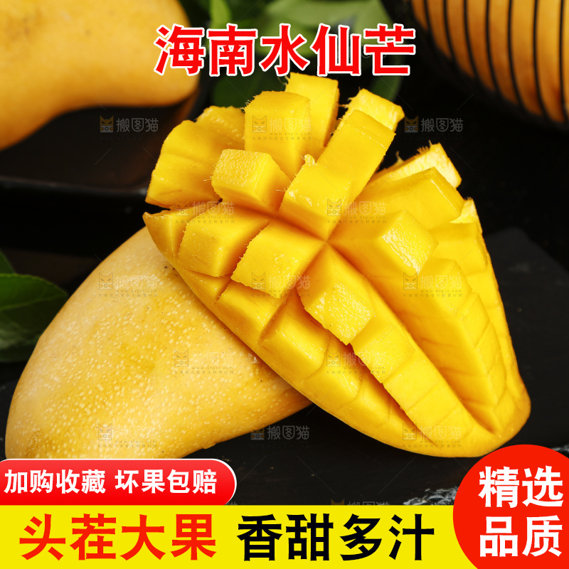 切开的海南金煌水仙芒放在深底上