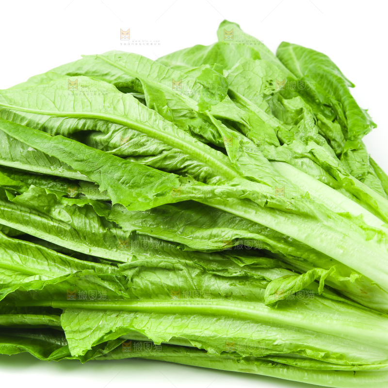 白底上的嫩油麦菜