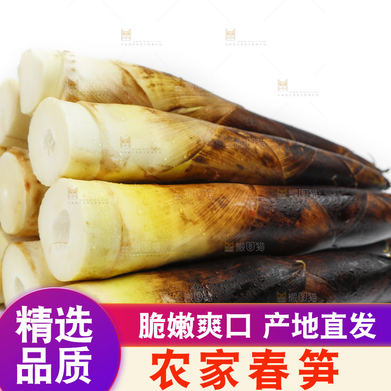 白底上放着一堆临安春笋