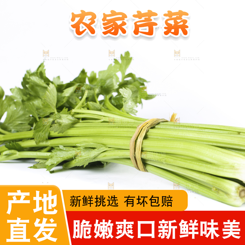 白底上放着新鲜芹菜