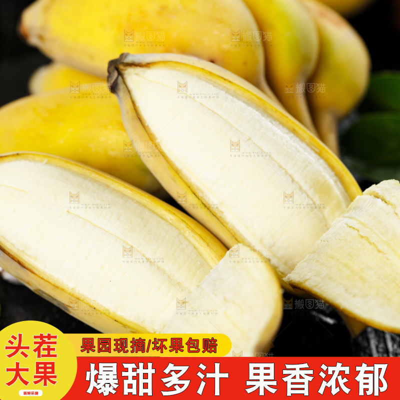 黑底上的苹果蕉