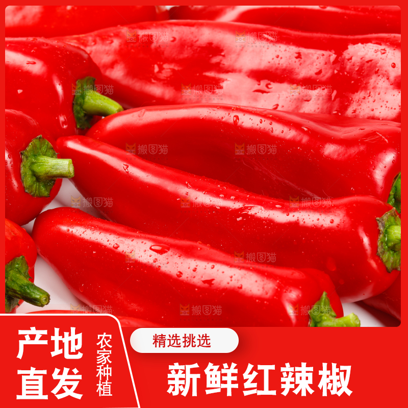 白底上堆着红辣椒