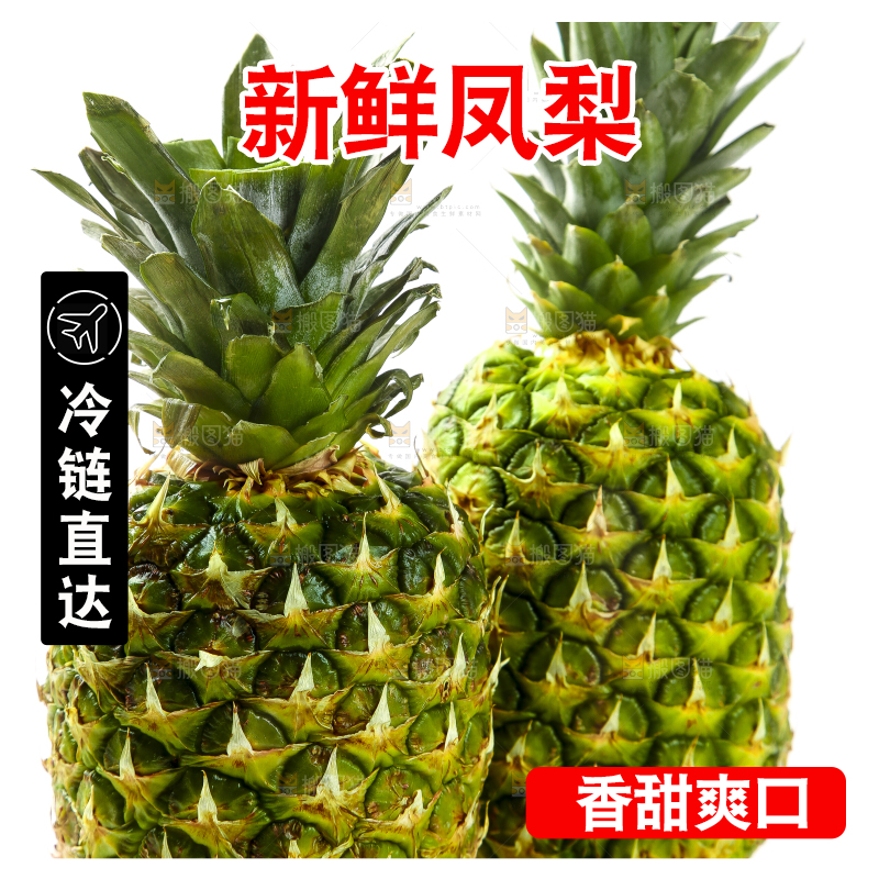 白底上的海南金钻凤梨